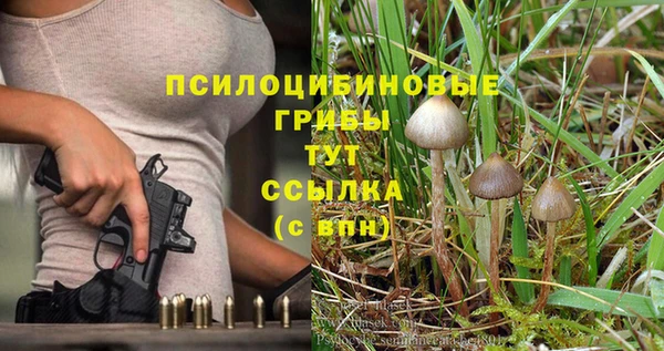 кокс Алексин