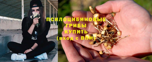 ешки Алзамай
