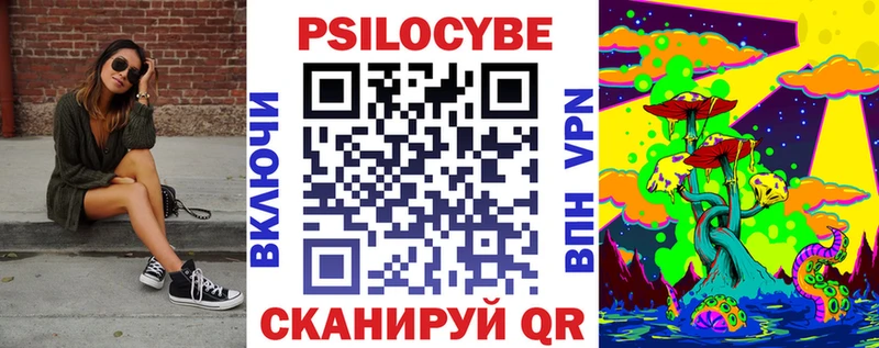 Галлюциногенные грибы Psilocybe Рошаль